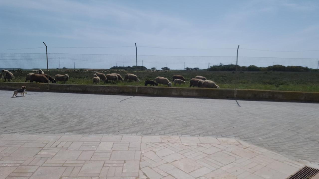 Abrigo Nortadas Landhaus Vila do Bispo